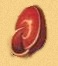 [Shell Decoration]