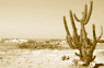 [Desert Scene in Aruba]